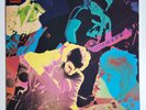 STIFF LITTLE FINGERS - 'Hanx ' 12