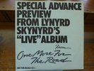 Lynyrd Skynyrd - Free Bird Live 12