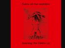 FIELDS OF THE NEPHILIM Burning the Fields 2024 RED Vinyl Record RSD Limited