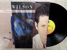 BRIAN WILSON-SELF TITLED,25669-1,SIRE 1988,VINYL RECORD LP