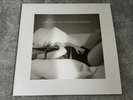 Taylor Swift - The Tortured Poets Department - GHOST WHITE vinyl - As new