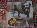 ALICE IN CHAINS - Alice in chains lp light green like new nirvana pearl jam