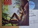 NM / RARE BIRD - Sympathy [ 1985 Korea 1st LP Vinyl ] w/Insert