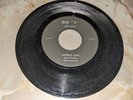 The Spartans  – Jungle Call/In The Mood 7'' Garage Rock 45 Big J Records