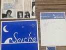 RARE AUTOGRAPHED SEICHE DEMO PRESS VINYL LP UNNUMBERED SILKSCREEN LESS THAN 100
