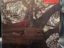 The Backseat Lovers - Waiting to Spill - Anniversary Edition Signed Vinyl