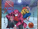 Flee Lord & Crisis - 2-3 Zone Vinyl New