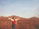 Fiddlehead - Springtime And Blind LP Colored Vinyl NEW PUNK RECORD Have Heart