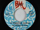 Garage Psych 45 - Sounds Of Tyme - To Understand Mankind - Bowmar