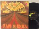 Savoy Brown Raw Sienna VG+ PARROT ORIG GATEFOLD psych