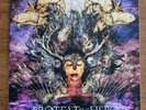 Fortress By Protest The Hero Purple Marbled Vinyl (2008)