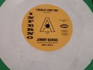 Jimmy Burns  -   I Really Love You   -  UK  INFERNO DEMO  -  Northern Soul - N M
