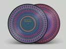 RARE GLASS ANIMALS Zaba Zoetrope 2LP Limited Edition Vinyl Records Brand New