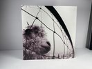 NEW PEARL JAM - VS. 30TH ANNIVERSARY Clear Vinyl LP Limited Edition