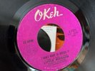 Northern Soul 60s Little Richard I Don’t Want To Discuss It Okey Original