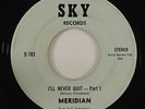 Meridian 