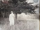 Taylor Swift Folklore Hide and Seek (Limited Edition Deluxe) (Vinyl) Sealed