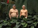 JOÃO DONATO E JARDS MACALÉ SÍNTESE DO LANCE LP Brazil LP Samba mpb tim maia