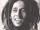 Bob Marley & The Wailers - Kaya 40 (Vinyl 2LP - 2018 - US - Original)