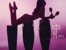 Various Artists Technicolor paradise: Rhum rhapsodies & other exotic del (Vinyl)