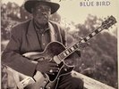 Jimmy Rogers ‎– Blue Bird – APO Records – APO 2001 Limited Edition 180g #3198