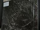 SIGNED & IN HAND  Cocteau Twins Harold Budd The Moon And The Melodies LP 2024