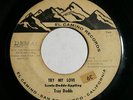 TROY DODDS The Real Thing/ Try My Love 45 Original RARE NORTHERN SOUL PROMO Hear