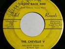 THE CHEVELLE V Come Back Bird/ Koko Joe 45 RARE Killer Texas Garage Punk HEAR