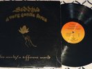SIDDHA A Very Gentle Force This / Different World Private Psych Folk Vinyl LP