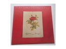 Laura Nyro - The First Songs - LP