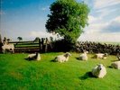 KLF Chill Out LP NEW VINYL KLF Communications repress The Orb Mixmaster Morris