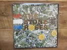 THE STONE ROSES 1989 DEBUT LP PAINT OVER BORDER DIFFERENT LEMON VG+ 1st Press