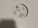 Prodigy The Fat Of The Land Vinyls Promo Copy (2 Records) 1997