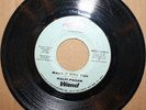 RALFI PAGAN Make It With You *STRAY WOMAN* Modern Soul 45 on FANIA 11236
