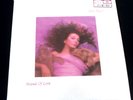 1985 VINYL KATE BUSH HOUNDS OF LOVE SHRINK TAG STRANGER THINGS UP THAT HILL MINT