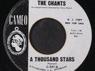 CHANTS: a thousand stars / i could write a book CAMEO 7