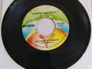 Dawin Santiago Soplalo - Esta Noche Te Despierto MICROFON MS-4570 VG  #938