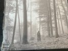 TAYLOR SWIFT - FOLKLORE DELUXE EDITION 2X BROWN   [VINYL] LP
