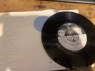 GEORGE HARRISON DEMO DARK HORSE IN P/S BEATLES UK APPLE R 6001 45 7