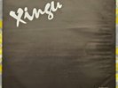 COMBO XINGU VERY RARE ORIGINAL FUNK SOUL LATIN GROOVE LP CHILE SANTANA ZEPPELIN
