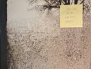 Bon Iver For Emma Forever Ago Vinyl Record VG+/VG CAD 2809 2008 1st Press