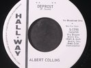 ALBERT COLLINS: defrost / albert's alley HALL-WAY 7