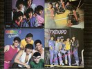 4 Count Menudo Vinyl LP - Evolucion, Refrescante, Una Aventura Llamada, Somos