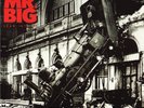 Lean Into It - 30Th Anniversary Edition - Mr Big - Record Album, Vinyl LP