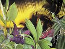 Lonnie Liston Smith - Loveland (LP, Album)