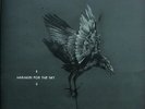 Harakiri For The Sky GREY SPLATTER VINYL, LTD ED + POSTER NEW OVP Vinyl LP
