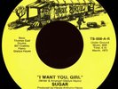 SUGAR I Want You Girl / Most Important Thing 45 True Soul Rare 1970s Sweet Soul