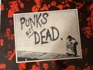 The Exploited - Punk's Not Dead Vinyl LP (Secret Records 1981) see description