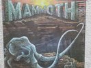 MAMMOTH s/t 1981 U.S. Private Press RNA Records M-52281 RARE prog/psych NM/EX+
