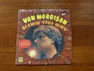 Van Morrison Blowin’ Your Mind Shrink 1967 LP Vinyl Record Bang Rock